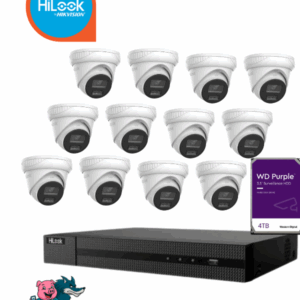 CCTV Silver – 12 Camera